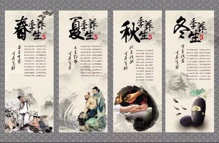 交旅融合·文旅赋能 七大养生旅游模式引领健康生活新浪潮